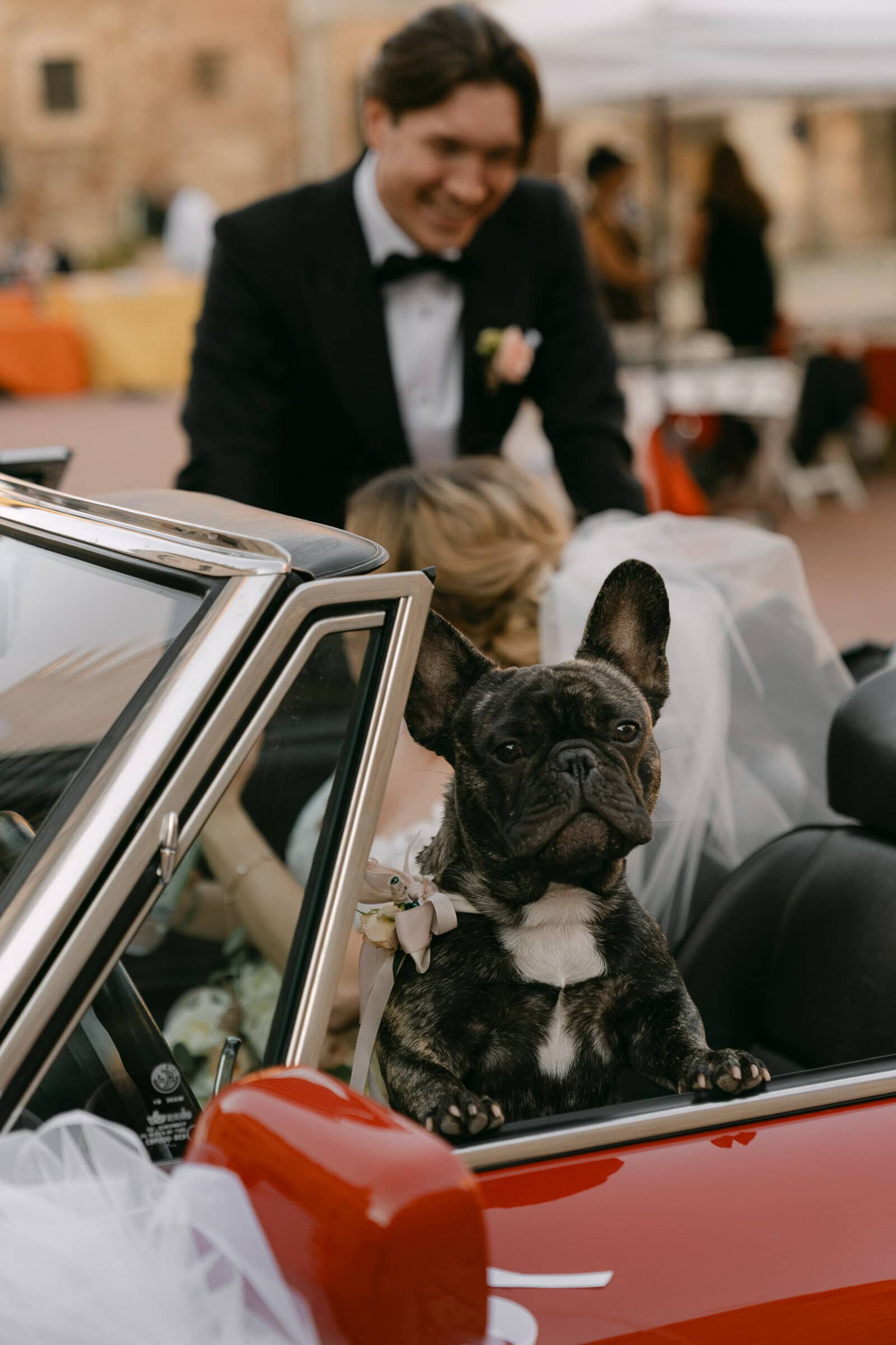 Ruhige Brautpaarmomente während einer Auslandshochzeit mit Hund